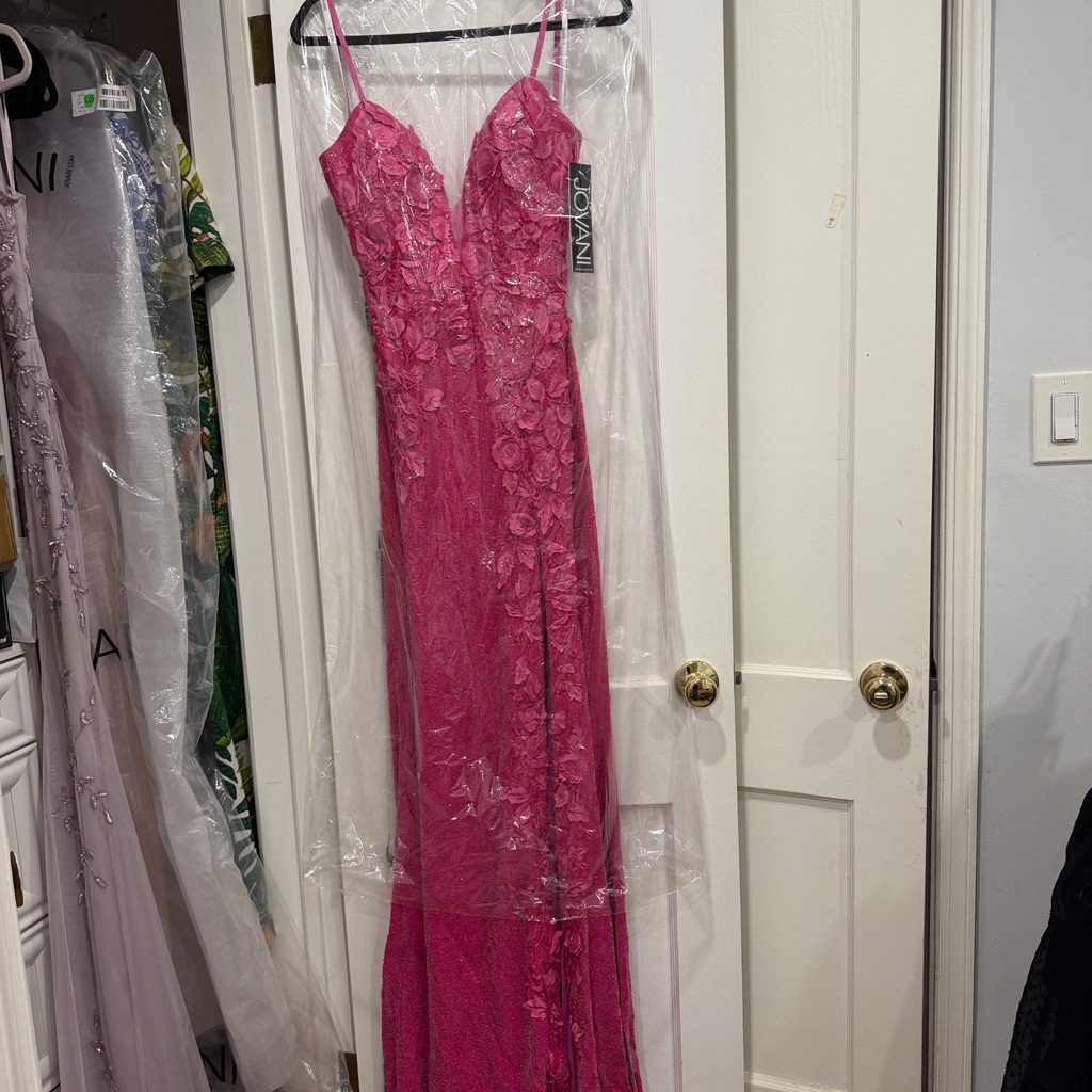 Hot Pink Floral Appliqu Maxi Dress